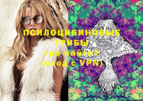 индика Аркадак
