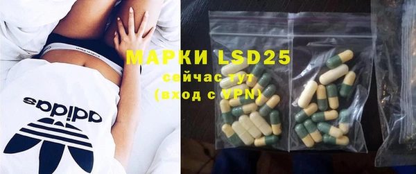 индика Аркадак