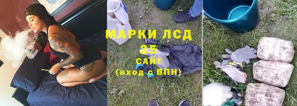 индика Аркадак