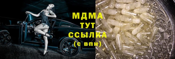 индика Аркадак