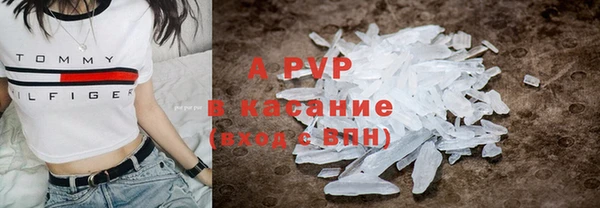 индика Аркадак