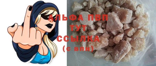 индика Аркадак