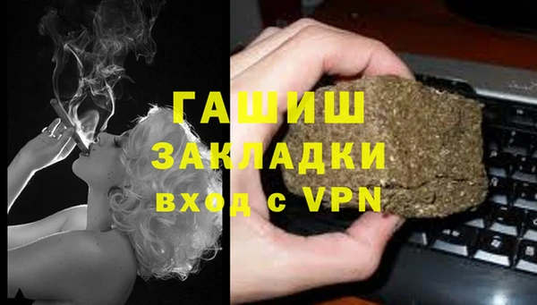индика Аркадак